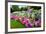 Pretty Manicured Flower Garden with Colorful Azaleas.-Juriah-Framed Photographic Print