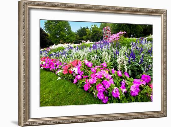 Pretty Manicured Flower Garden with Colorful Azaleas.-Juriah-Framed Photographic Print