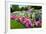 Pretty Manicured Flower Garden with Colorful Azaleas.-Juriah-Framed Photographic Print