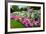 Pretty Manicured Flower Garden with Colorful Azaleas.-Juriah-Framed Photographic Print