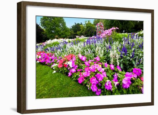 Pretty Manicured Flower Garden with Colorful Azaleas.-Juriah-Framed Photographic Print