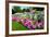 Pretty Manicured Flower Garden with Colorful Azaleas.-Juriah-Framed Photographic Print