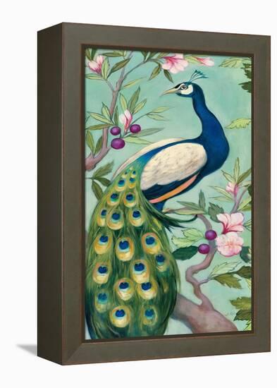 Pretty Peacock II-Julia Purinton-Framed Stretched Canvas