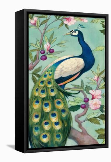 Pretty Peacock II-Julia Purinton-Framed Stretched Canvas