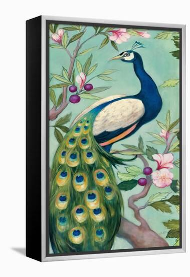 Pretty Peacock II-Julia Purinton-Framed Stretched Canvas