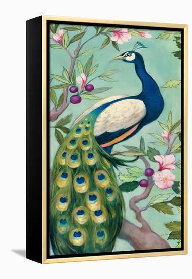 Pretty Peacock II-Julia Purinton-Framed Stretched Canvas