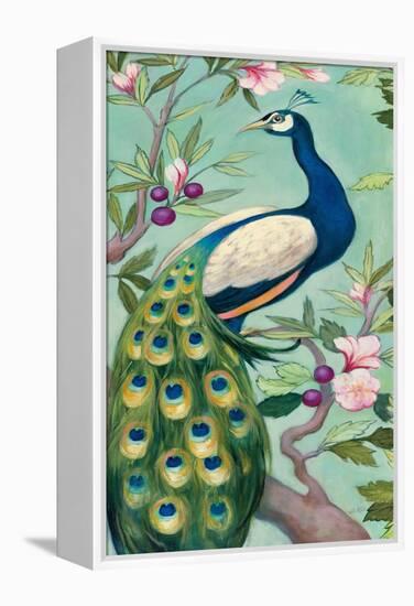 Pretty Peacock II-Julia Purinton-Framed Stretched Canvas
