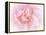 Pretty Pink Blooms III-Eva Bane-Framed Stretched Canvas