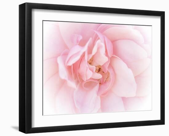 Pretty Pink Blooms III-Eva Bane-Framed Art Print