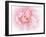 Pretty Pink Blooms III-Eva Bane-Framed Art Print