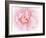Pretty Pink Blooms III-Eva Bane-Framed Art Print