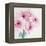 Pretty Pink Daisies-Susannah Tucker-Framed Stretched Canvas