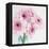 Pretty Pink Daisies-Susannah Tucker-Framed Stretched Canvas