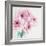 Pretty Pink Daisies-Susannah Tucker-Framed Art Print