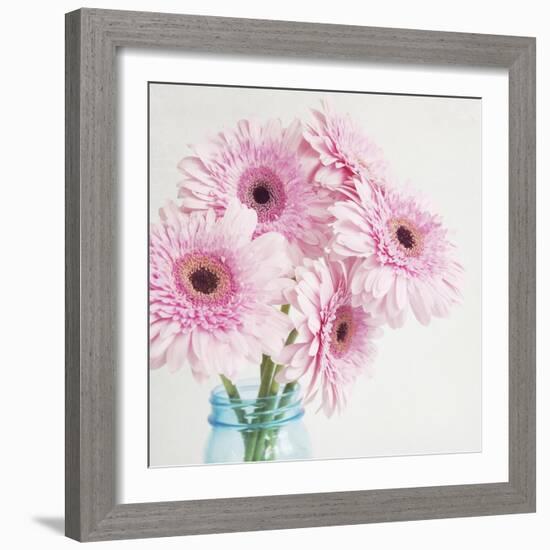 Pretty Pink Daisies-Susannah Tucker-Framed Art Print