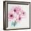 Pretty Pink Daisies-Susannah Tucker-Framed Art Print