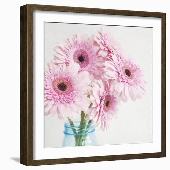 Pretty Pink Daisies-Susannah Tucker-Framed Art Print