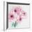 Pretty Pink Daisies-Susannah Tucker-Framed Art Print