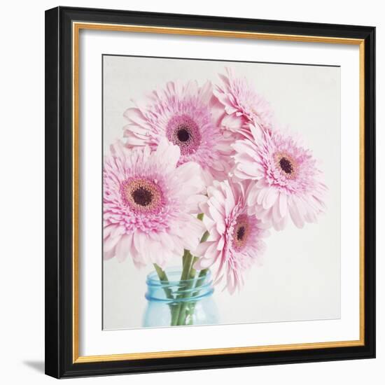 Pretty Pink Daisies-Susannah Tucker-Framed Art Print