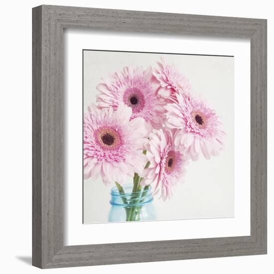 Pretty Pink Daisies-Susannah Tucker-Framed Art Print