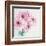 Pretty Pink Daisies-Susannah Tucker-Framed Art Print