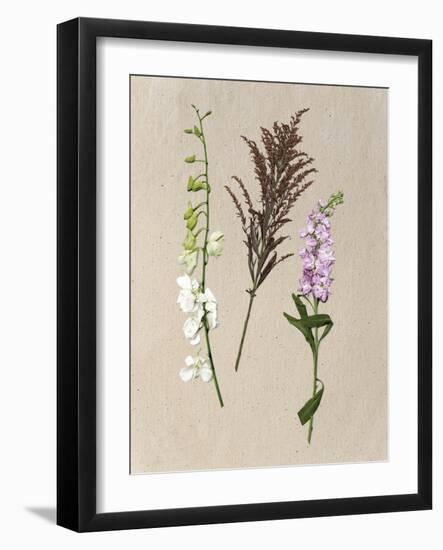 Pretty Pressed Flowers IV-Melissa Wang-Framed Art Print