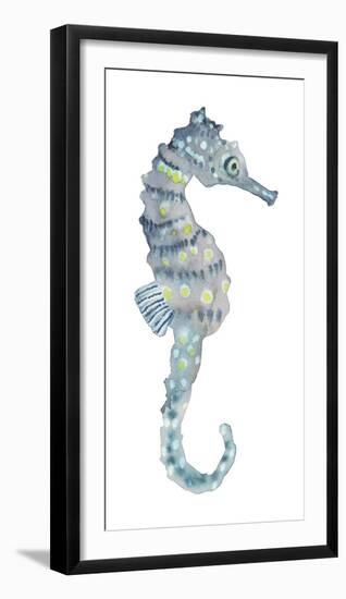 Pretty Seahorse-Sandra Jacobs-Framed Giclee Print