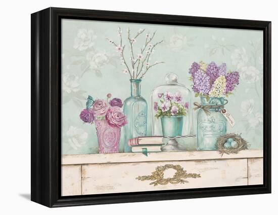 Pretty Vignette 1-Stefania Ferri-Framed Stretched Canvas