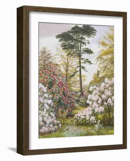 Pretty Woodland Garden-Marian Chase-Framed Giclee Print