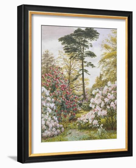 Pretty Woodland Garden-Marian Chase-Framed Giclee Print