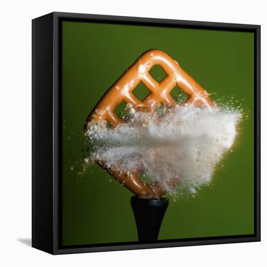 Pretzel Logic-Alan Sailer-Framed Premier Image Canvas