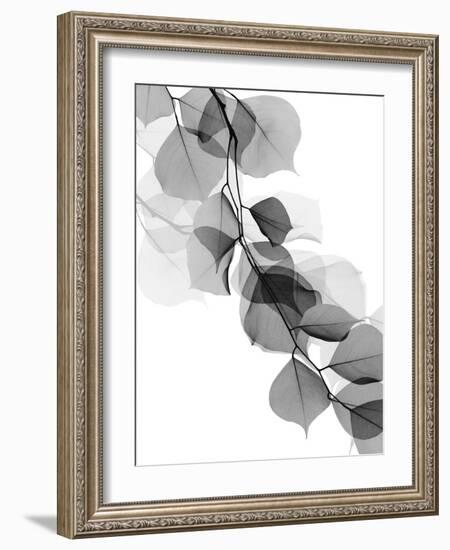 Price Of Reflection 2-Albert Koetsier-Framed Art Print