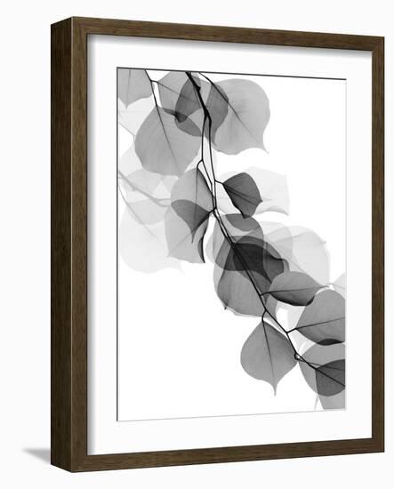 Price Of Reflection 2-Albert Koetsier-Framed Art Print