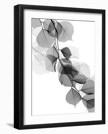 Price Of Reflection 2-Albert Koetsier-Framed Art Print