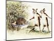 Premium Giclee Print