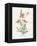 Prickly Headed Poppy-Gwendolyn Babbitt-Framed Stretched Canvas