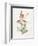 Prickly Headed Poppy-Gwendolyn Babbitt-Framed Premium Giclee Print