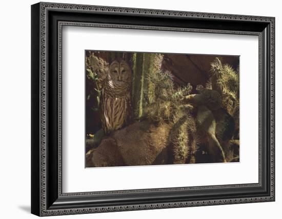 Prickly Pair-Steve Hunziker-Framed Premium Giclee Print