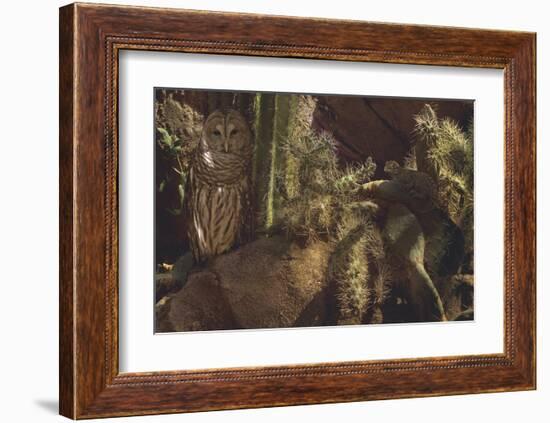 Prickly Pair-Steve Hunziker-Framed Art Print