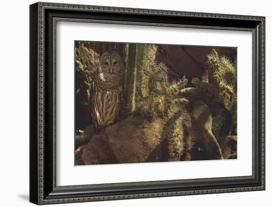 Prickly Pair-Steve Hunziker-Framed Art Print