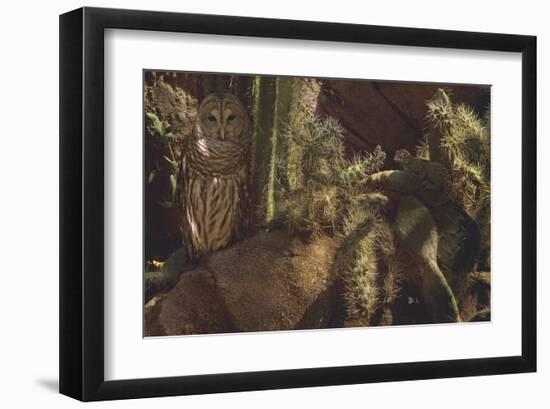 Prickly Pair-Steve Hunziker-Framed Art Print