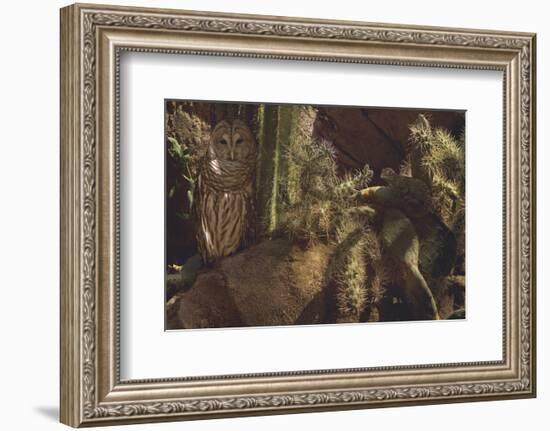 Prickly Pair-Steve Hunziker-Framed Art Print