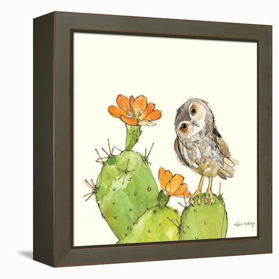 Prickly Pear and Elf Owl-Robbin Rawlings-Framed Stretched Canvas