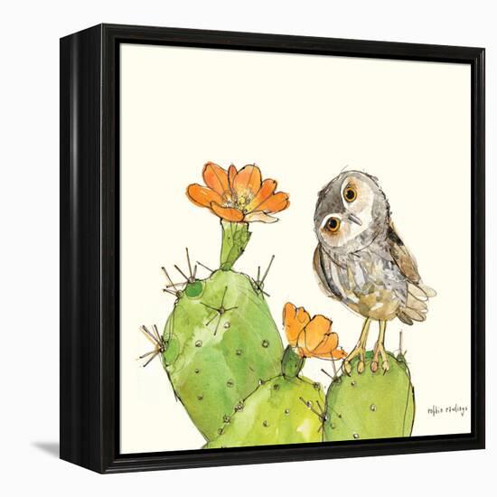 Prickly Pear and Elf Owl-Robbin Rawlings-Framed Stretched Canvas