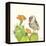 Prickly Pear and Elf Owl-Robbin Rawlings-Framed Stretched Canvas