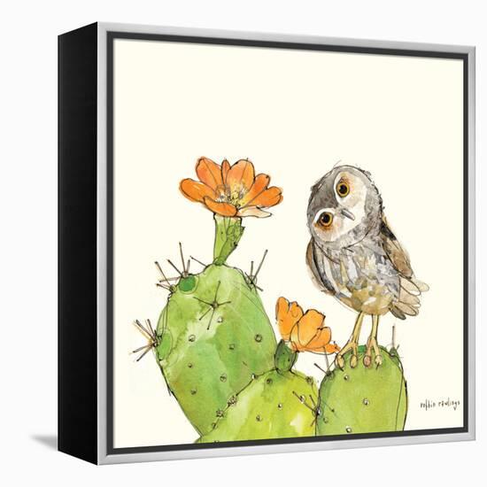 Prickly Pear and Elf Owl-Robbin Rawlings-Framed Stretched Canvas