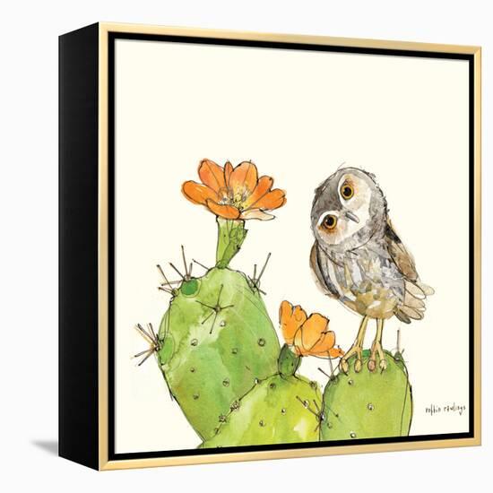 Prickly Pear and Elf Owl-Robbin Rawlings-Framed Stretched Canvas