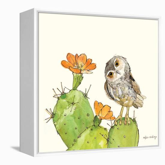 Prickly Pear and Elf Owl-Robbin Rawlings-Framed Stretched Canvas