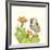 Prickly Pear and Elf Owl-Robbin Rawlings-Framed Art Print