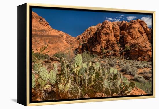 Prickly Pear cactus along Water Canyon, St. George, Utah, USA-null-Framed Premier Image Canvas